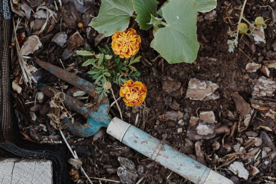 GrünWerk Gartenpflege 1