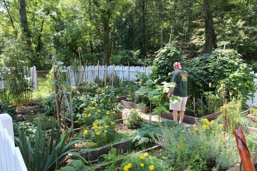 GrünWerk Gartenpflege 12