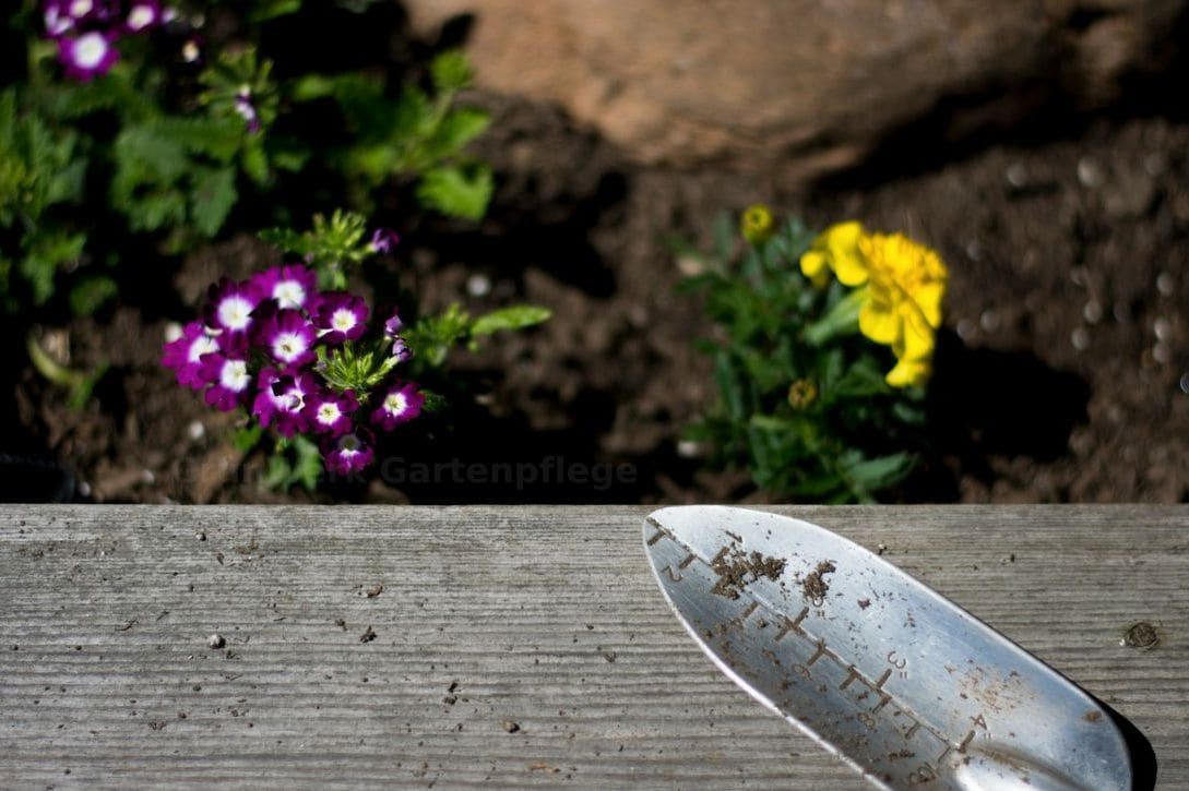 GrünWerk Gartenpflege 14