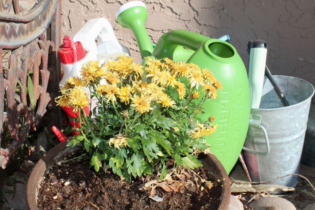 GrünWerk Gartenpflege 15