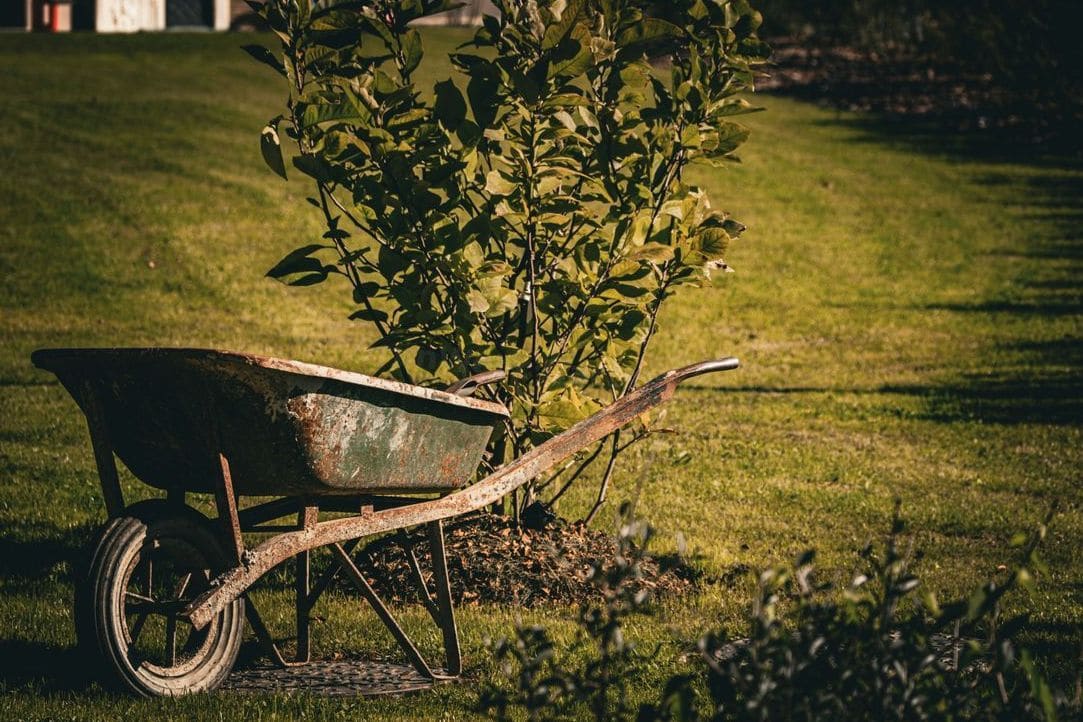 GrünWerk Gartenpflege 4