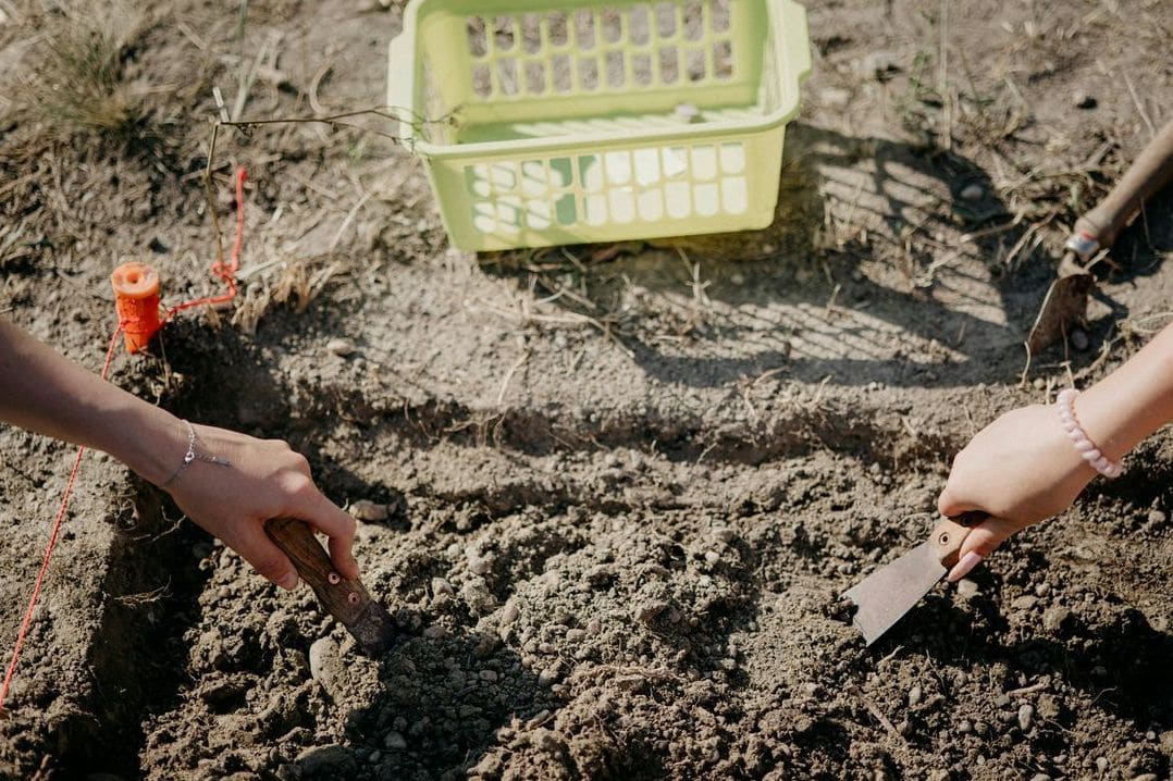 GrünWerk Gartenpflege 5