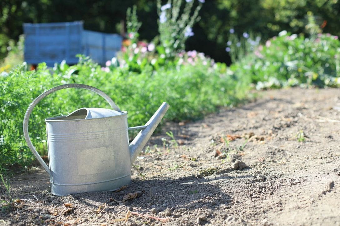 GrünWerk Gartenpflege 6