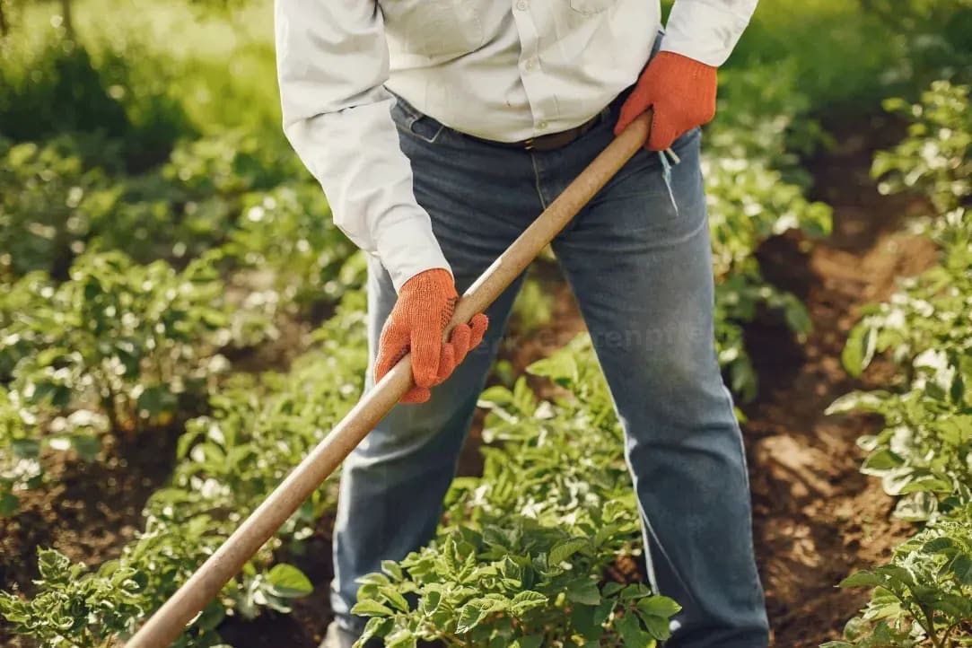 Arbeiten termingerecht ausführen