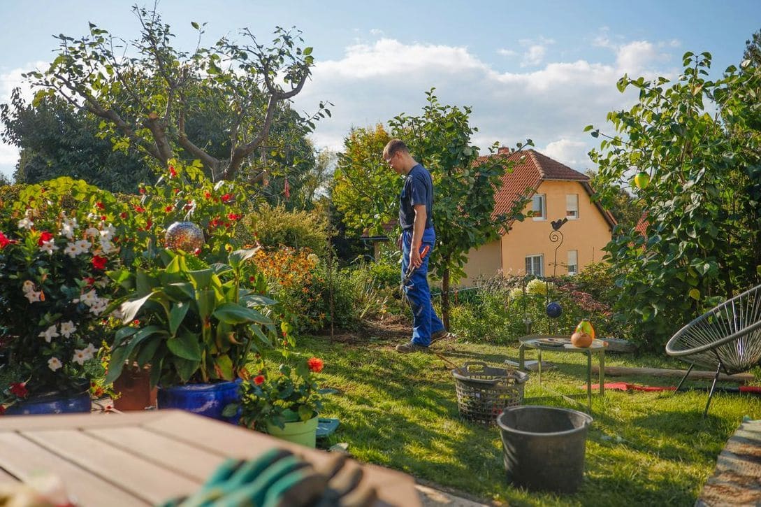 Beetpflege und Unkrautentfernung